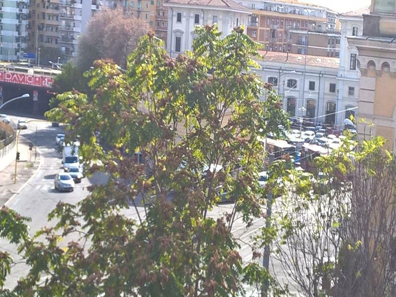 Elegance Scalini Di Trastevere Roma Dış mekan fotoğraf